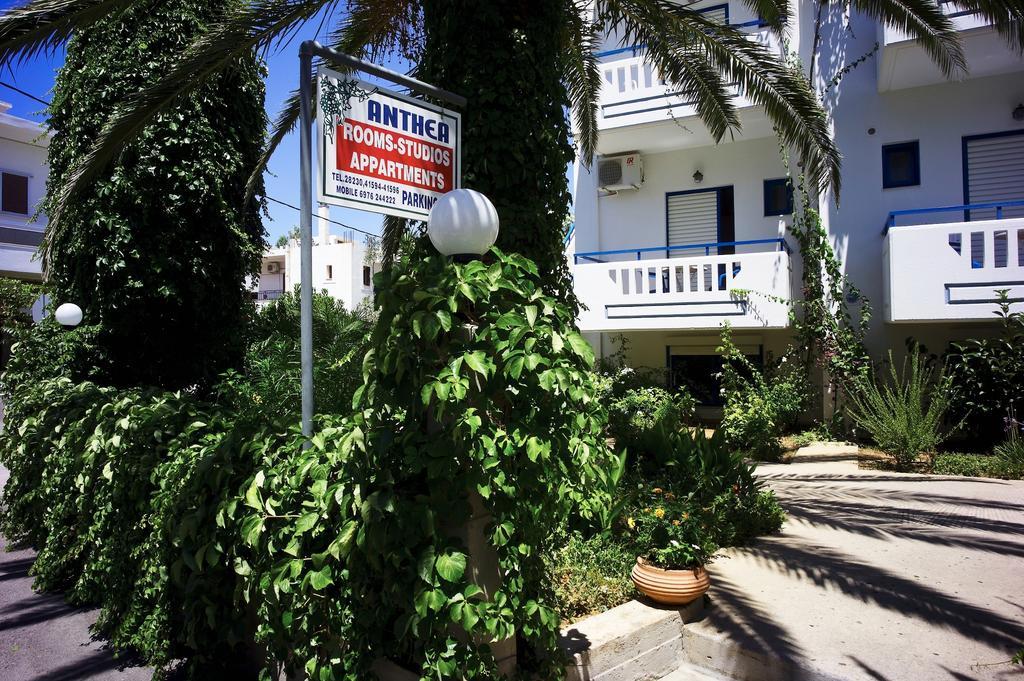 Anthea Apartments Palaiochora Rum bild